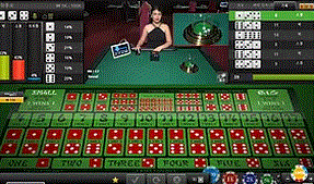 우리카지노 다이사이